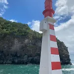 Nest Nestled Minutes From The Coast Apartamento Lagoa (Azores)