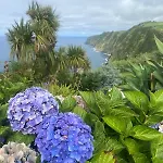 Nest Nestled Minutes From The Coast * Lagoa (Azores)