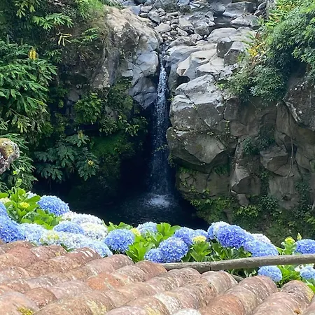 Nest Nestled Minutes From The Coast